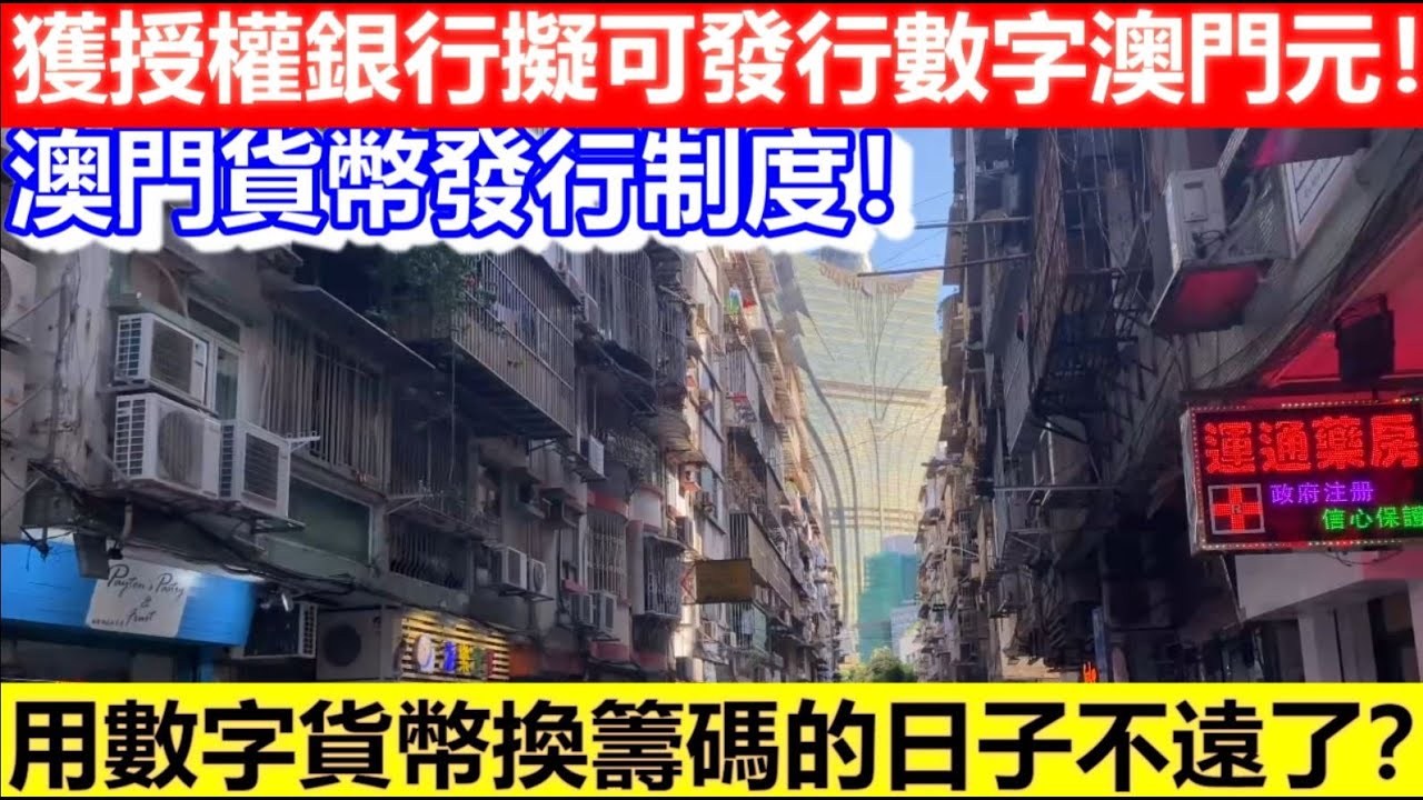 🔴澳門貨幣發行制度！倡授權銀行發行所有法定貨幣！獲授權銀行擬可發行數字澳門元！用數字貨幣換籌碼的日子不遠了？｜CC字幕｜日更頻道