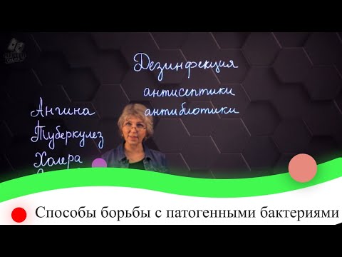 Способы борьбы с патогенными бактериями. 7 класс.