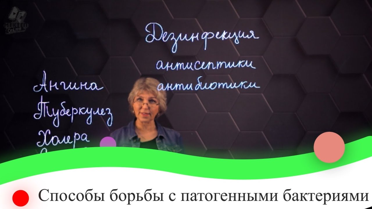 Способы борьбы с патогенными бактериями. 7 класс.
