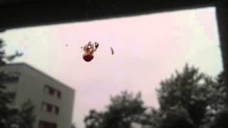 Flegeton Valve - Winds of the Adversary (Home Recording)