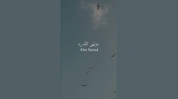 🌙آيات تخشع لها القلوب (١٦)