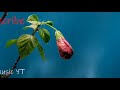 Ahmad Zahir Song Tu Gole Naz Hama تو گل ناز همه موزیک احمد ظاهر Ahmad Zahir Song Tu Gole Naz Hama تو گل ناز همه موزیک احمد ظاهر