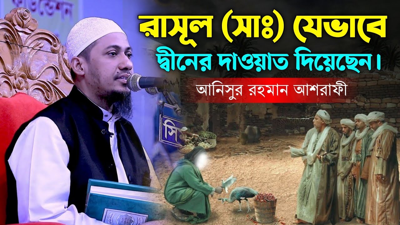 রাসূল (সাঃ) যেভাবে দ্বীনের দাওয়াত দিয়েছেন | আনিসুর রহমান আশরাফী