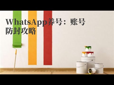 snapchat 刷粉丝 日本|WhatsApp养号：账号防封攻略