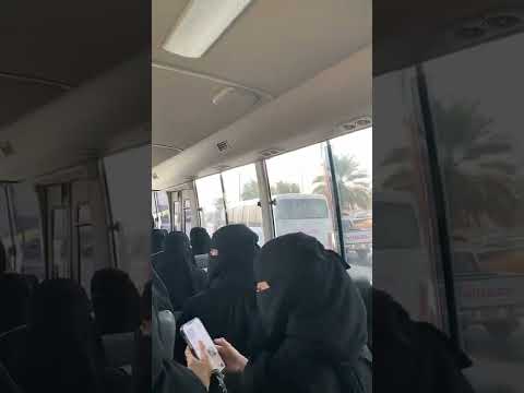 السعودية Shorts Short العراق مصر Omletarcade