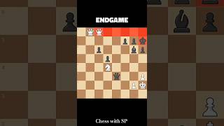 Queen 🔥 #chess #carokannopening #scandinaviandefense #funny #siciliandefense #chessopening #memes