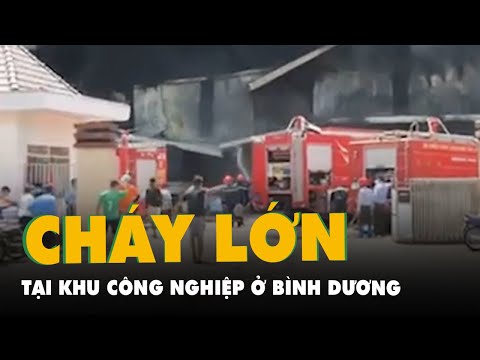 Video Cháy lớn tại công ty sản xuất mút trong Khu công... - youtube