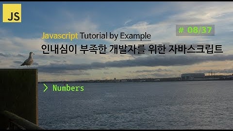 [8/37] Javascript, 인내심이 부족한 개발자를 위한 자바스크립트, 강의 강좌 비디오 튜토리얼 by Example,  숫자(Numbers)
