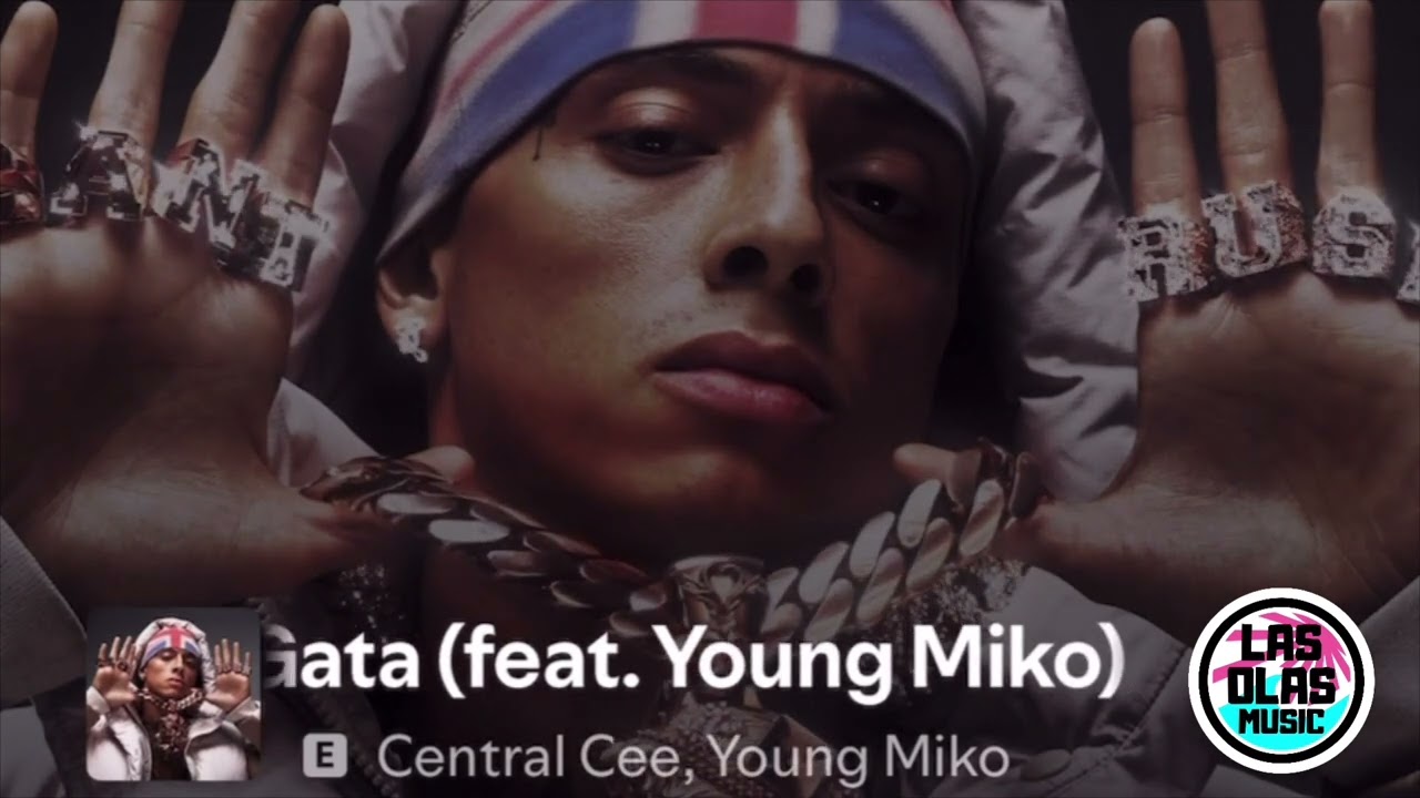 Central Cee - Gata (Instrumental)