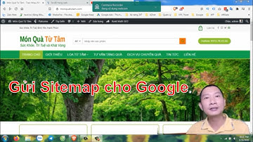 Vì sao nên gửi Sitemap Website cho Google và cách gửi Sitemap cho Google nhanh nhất