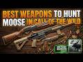 THE BEST WEAPON TO USE ON MOOSE IN THE HUNTER CALL OF THE WILD!