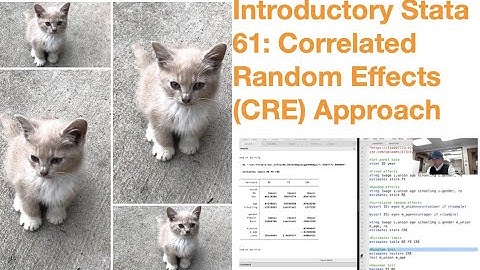 Introductory Stata 61: Correlated Random Effects (CRE) Approach