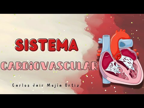 Sistema Cardiovascular (Dr.