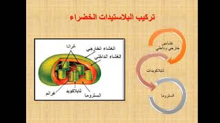 الخلية الجزء الثالث مبحث العلوم الحياتية الاستاذة : ايمان الشرفا