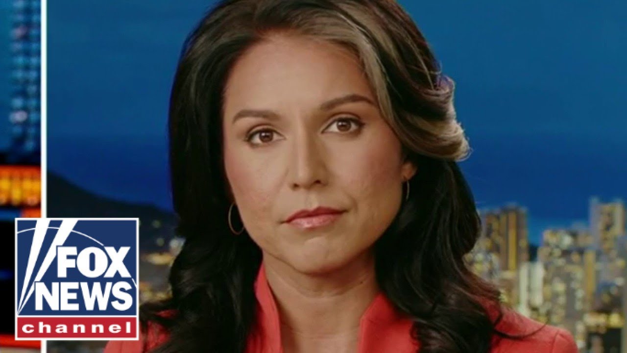 Tulsi Gabbard: Democrats have become ‘consumed’ with desire for power