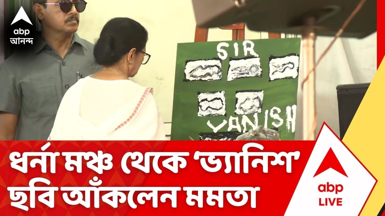 Mamata Banerjee: ধর্না মঞ্চ থেকে SIR সংক্রান্ত ছবি আঁকলেন মমতা, রইল ভ্যানিশ লেখাও | ABP Ananda