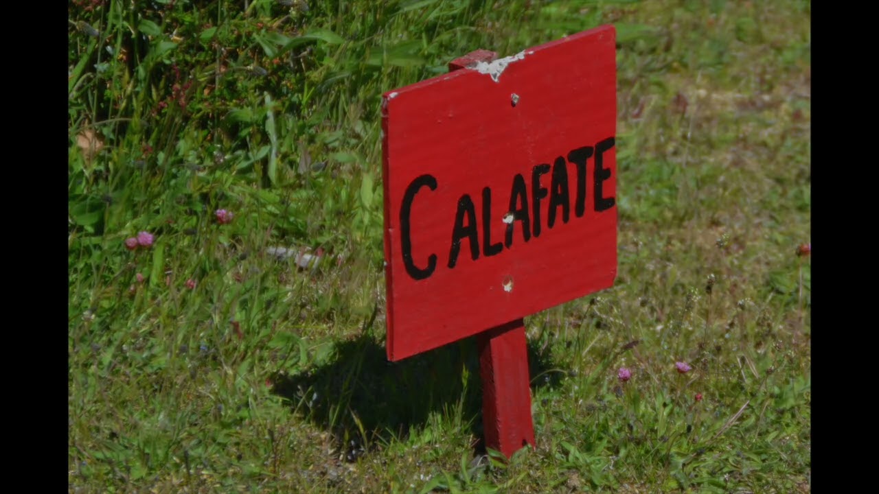 Argentina e Patagonia