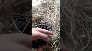 Малыши Огнёвки на 3 день🤗