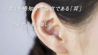 【サイレンシア】遮音値と聴力