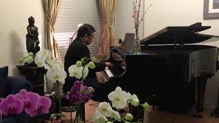 Beethoven - Moonlight Sonata - Hoang Pham
