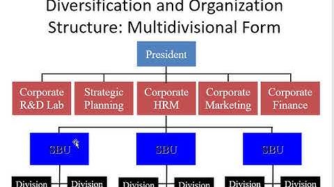 Managing the Multibusiness Firm 1  Organizational Structure