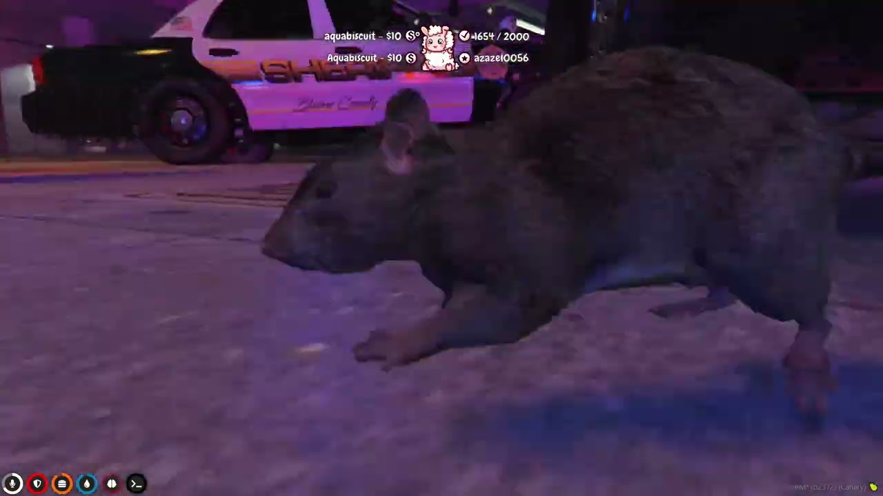 7/2/22 - Tiny Peets | rat strats | NoPixel RP WL