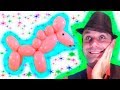 Лошадь из одного шарика шдм ★ horse make balloons