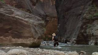 TrekAmerica Official Video Diary - Zion National Park