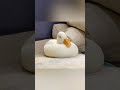 お眠アヒルが可愛すぎる件 #コールダック #アヒル #callduck #duck #しらたま #shots
