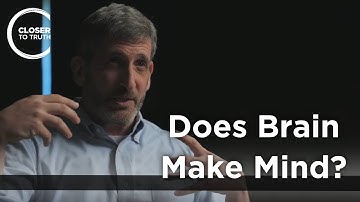 Neil Theise - Does Brain Make Mind?