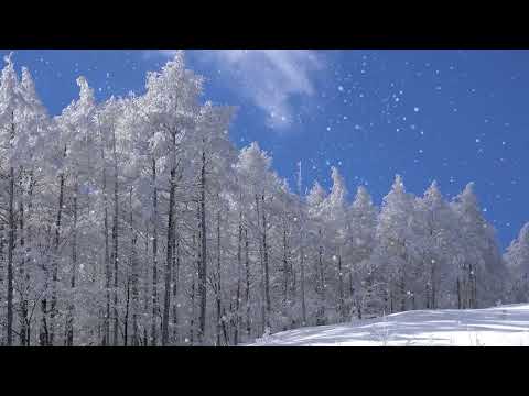 飛花 (伴奏) 李克勤 (Karaoke 純音樂)