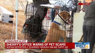 SCAM ALERT: Brunswick Co. Sheriff’s Office warns of pet scam