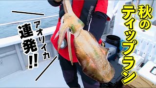 アオリイカとアジのリレー釣り！ティップランとバチコンを楽しもう！（四季の釣り/2025年10月17日放送）