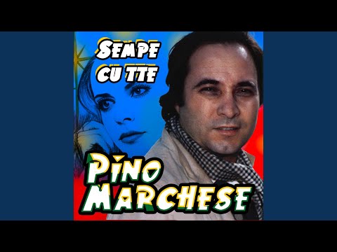Sempe cu tte