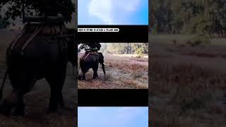 चत क हमल Tuntu Tv