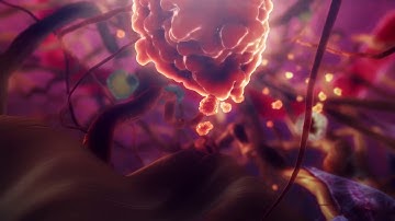 Best Medical Animation Videos  | Medical Animation Video Productions | 3D Medical Animation