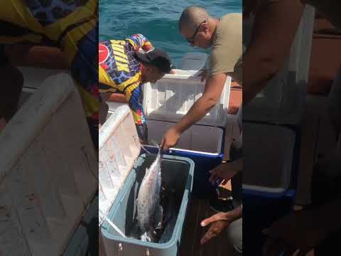 مجزرة تونه    الصيد 