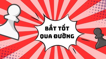 Luật đặc biệt trong CỜ VUA