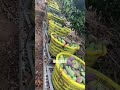 “Rayların Üzerinde Tarım! 🚜🌱 İnanılmaz Yöntem”