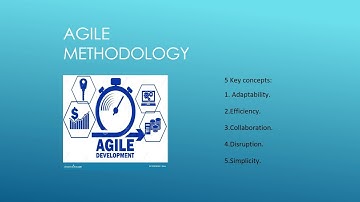 Video Methodologies in Software Development
