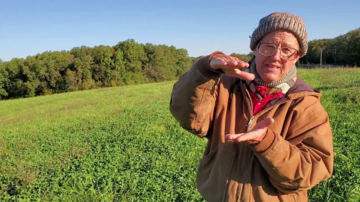 Greg Judy showing previous ragweed field that turn...