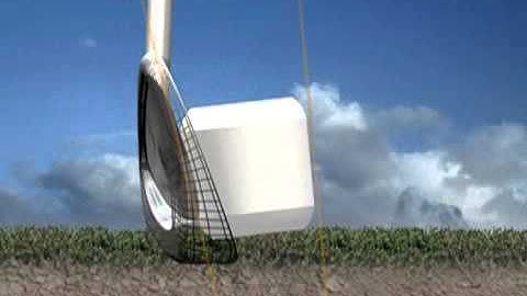 Introduction to BirdieBall