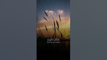 🌼 والسماء بنيناها بأيدٍ وإنا لموسعون | سعود الشريم | قرآن كريم | سورة الذاريات