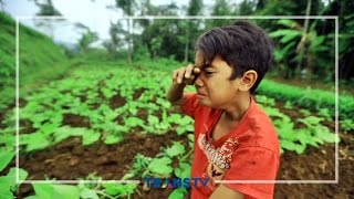 BOCAH PEJUANG - Malaikat Kecil Part 3/3