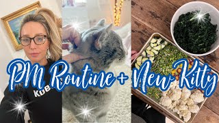 PM ROUTINE // NEW CAT  // HEALTHY DINNER RECIPE