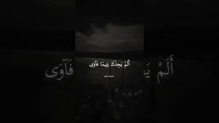 وَلَسَوْفَ يُعْطِيكَ رَبُّكَ فَتَرْضَى /قرآن كريم/ حالات واتس اب 🤍🥀