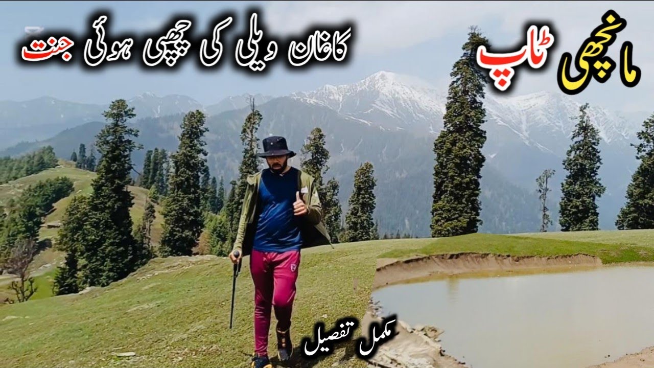 Manchi Top via Sharan Forest | Hidden Switzerland of Pakistan | Hiking Adventure | Naran kaghan