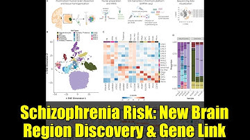 Schizophrenia Risk: New Brain Region Discovery & Gene Link