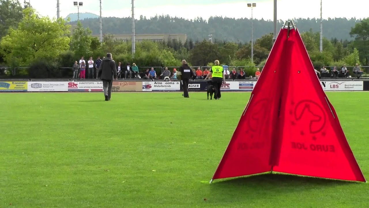 Drago vom Tanneneck IFR IPO Worldchampionship 2012 C-part