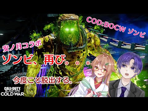 【COD:BOCW】ゾンビさん。おひさぁ。リベンジさせてもらうね。 with 瀬ノ月タンザさん【安ノ月コラボ】